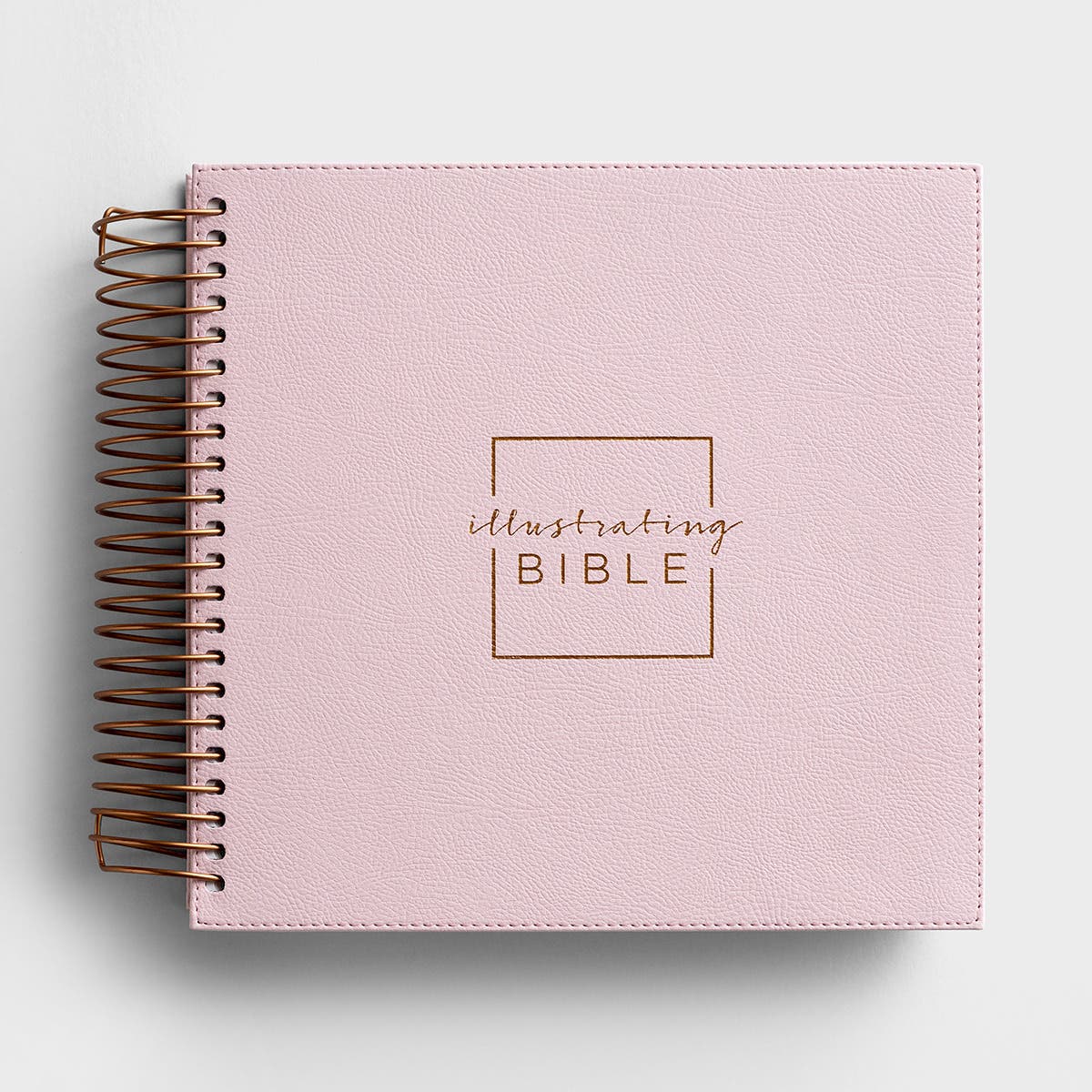 J3481 Illustrating Bible - NIV - Gospels - Pink