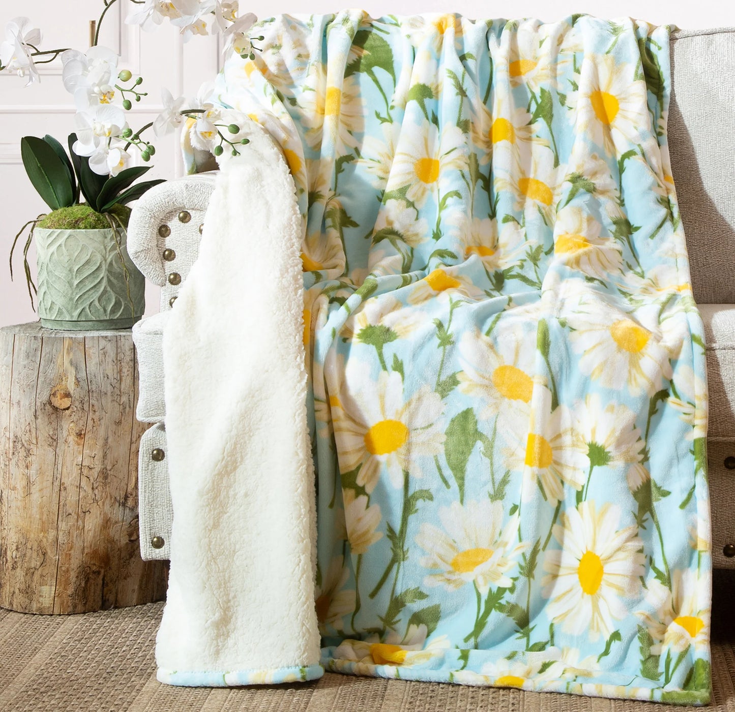 JP970 Carsten's Daisy Daydream Plush Throw Blanket