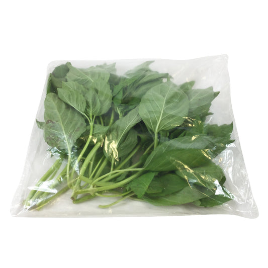 Basil Fresh Herb