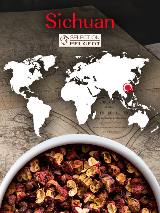 4 x 10g Sachets of Chinese Red Pepper