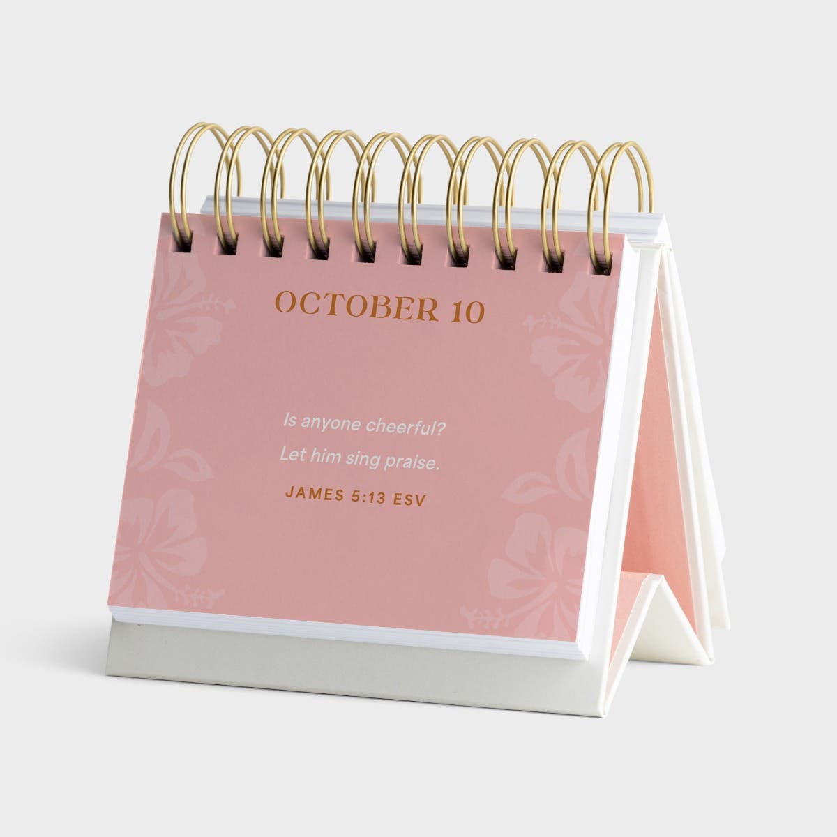 Hannah Crews - Hot Rollers & The Holy Spirit - Perpetual Calendar